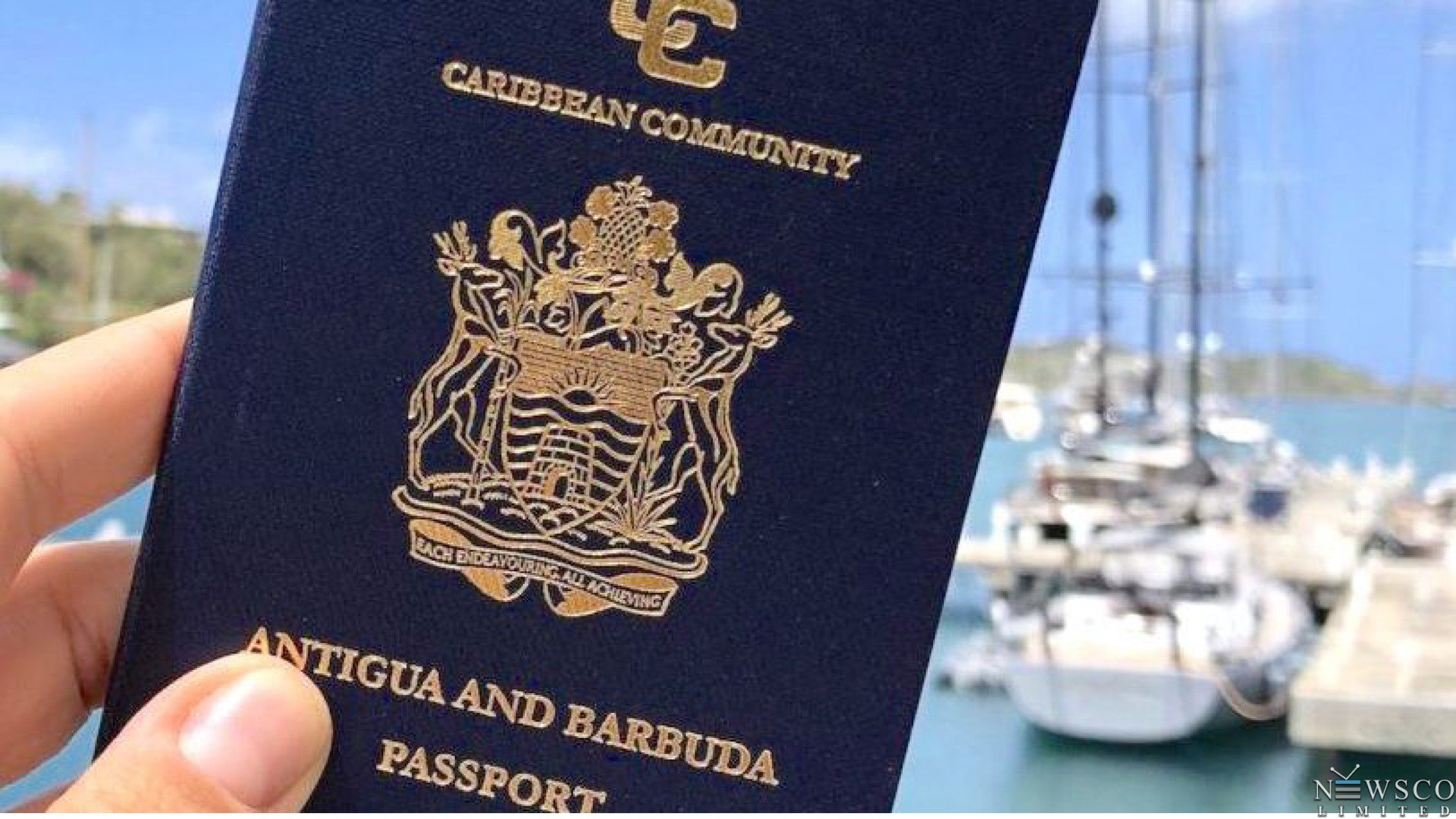 Что делать при потере или краже паспорта Сент-Китса и Невиса: гид для граждан, получивших гражданство через инвестиции