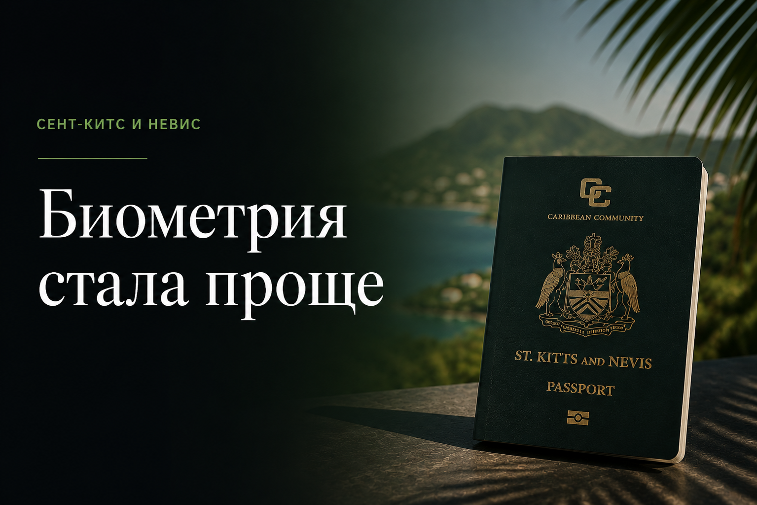 Что делать при потере или краже паспорта Сент-Китса и Невиса: гид для граждан, получивших гражданство через инвестиции